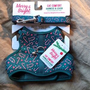 Cat harness and leash